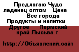 Предлагаю Чудо леденец оптом › Цена ­ 200 - Все города Продукты и напитки » Другое   . Пермский край,Лысьва г.